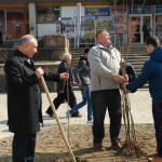DSC03050